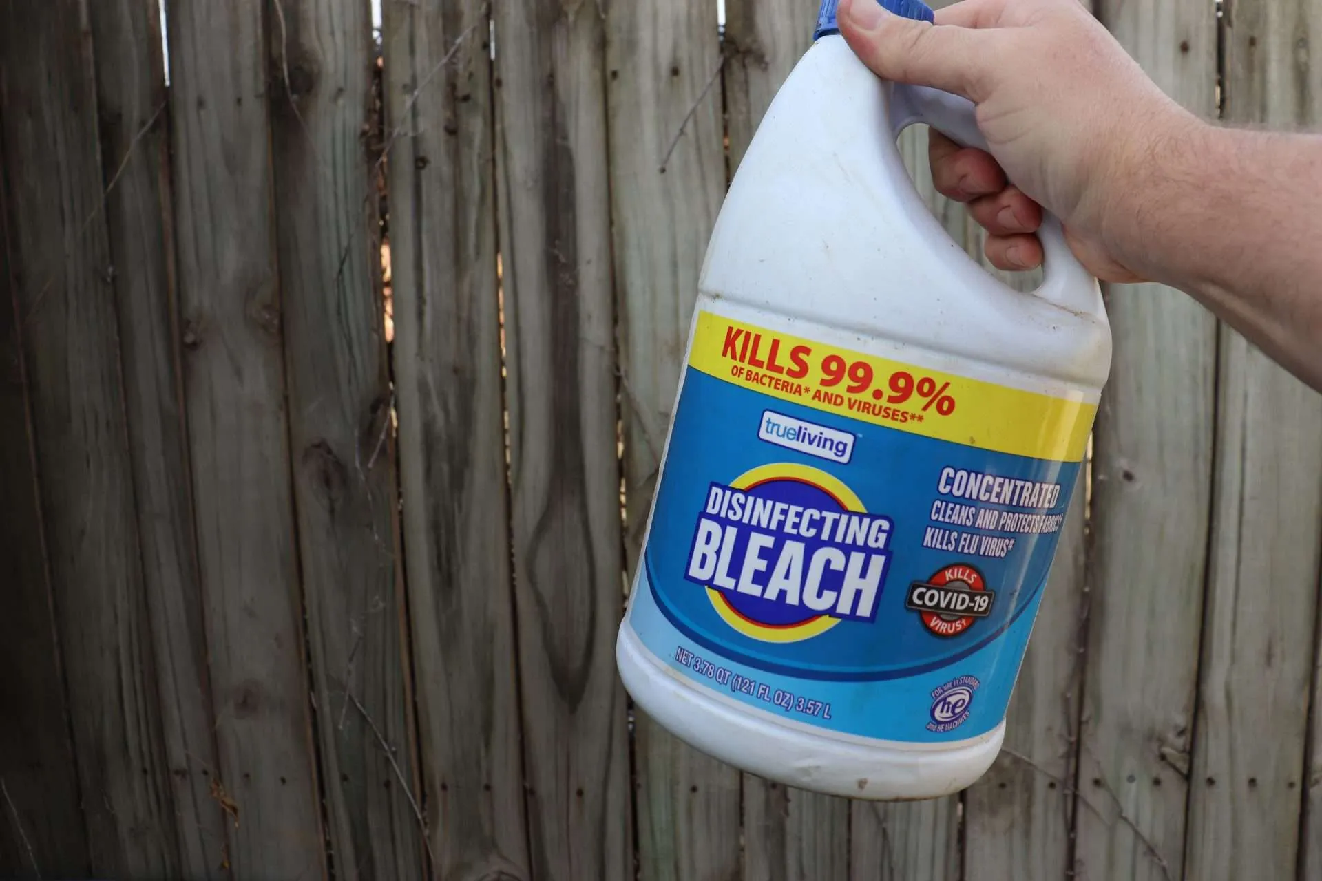 Bleach Bottle a bottle of bleach in front of a gray fence