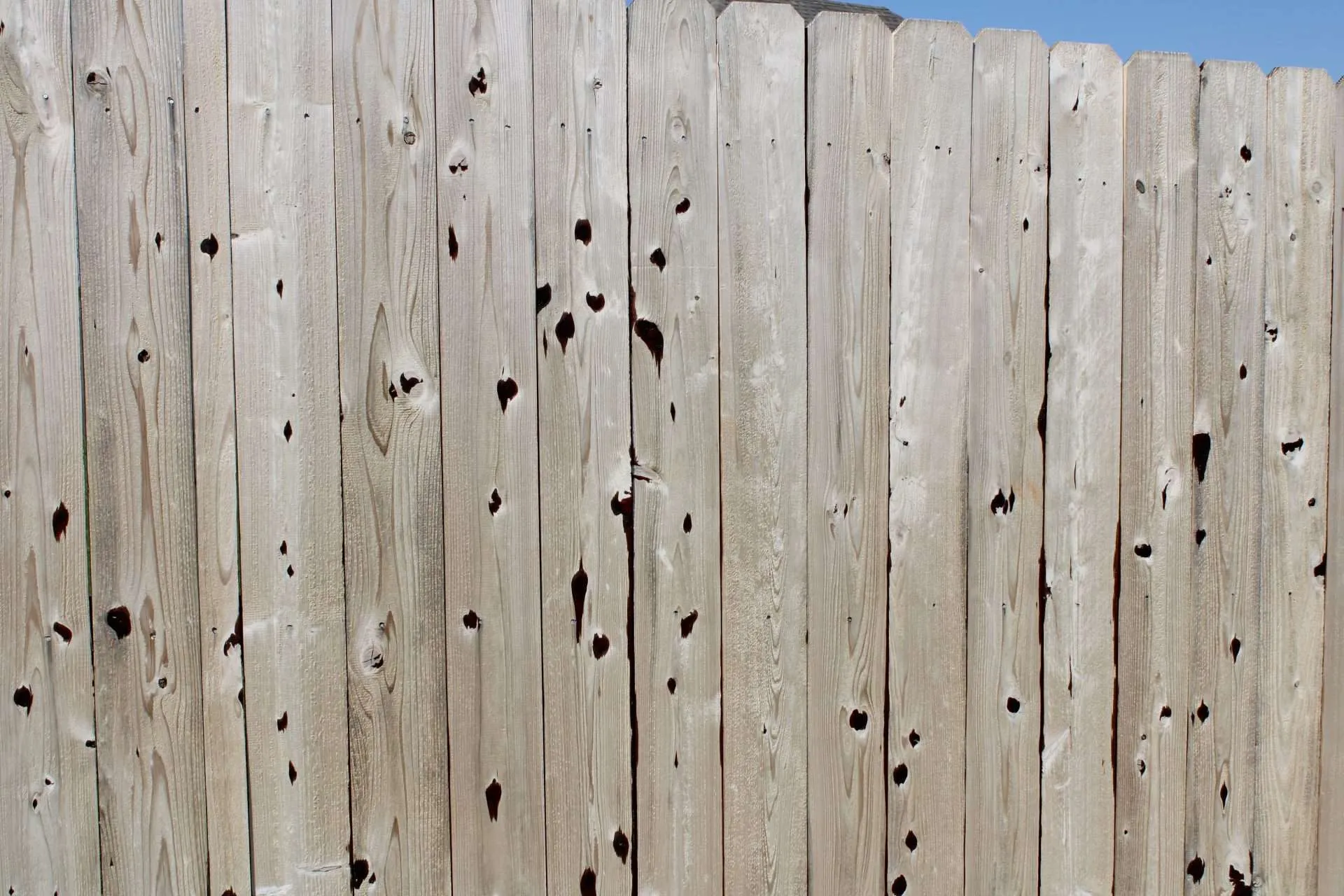 Bleed Through Fence stain bleeding through to to the other side of the fence