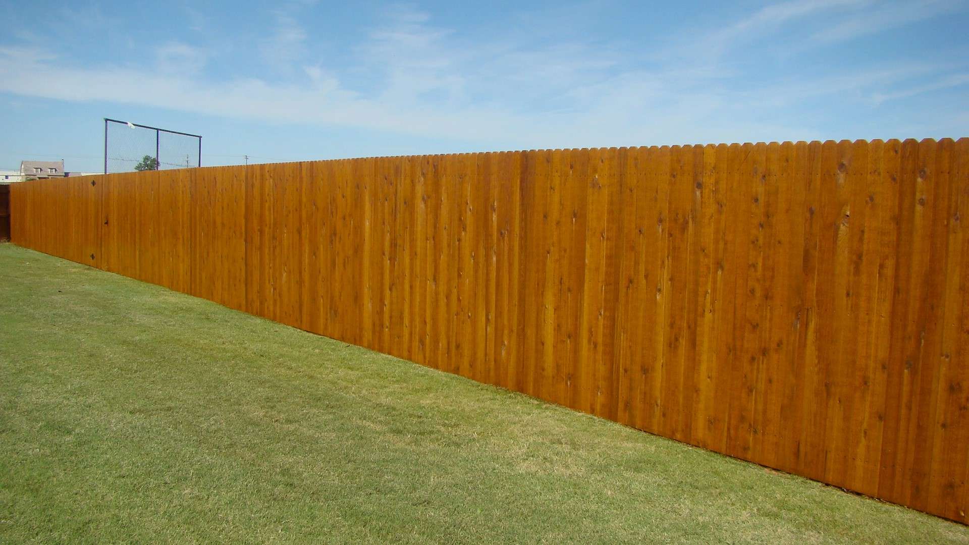 Cedar Tone After a cedar fence with wood defender stain on it.
