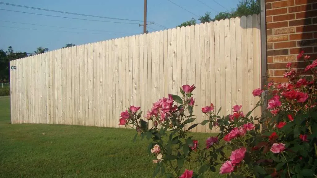 DSC05258 Picture of a new cedar fence that is ready to be stained.