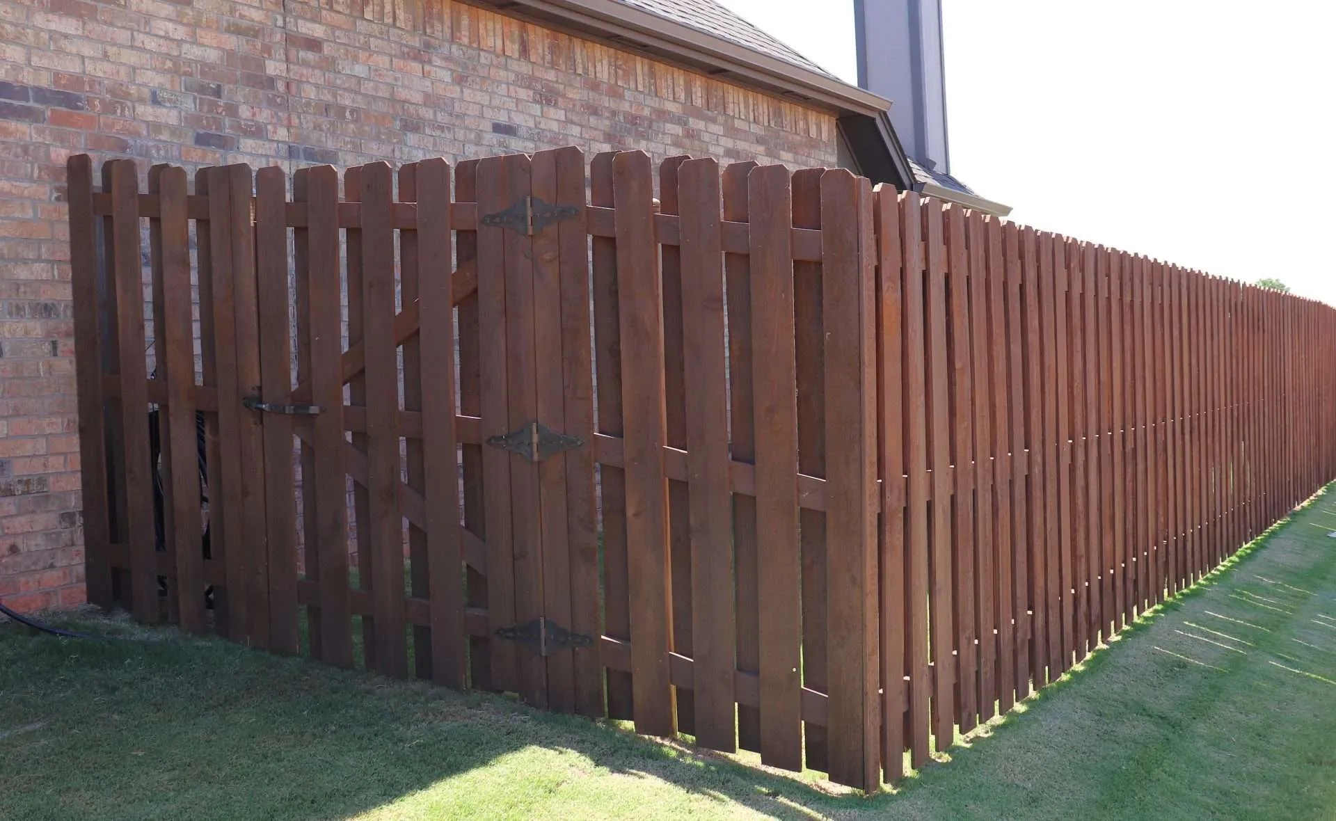 Fence Stained with coffee brown