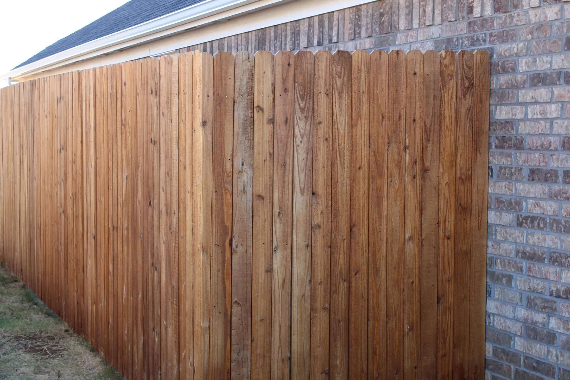 Harvest Brown A Wooden fence that has just been stained with wood defender harvest brown stain.