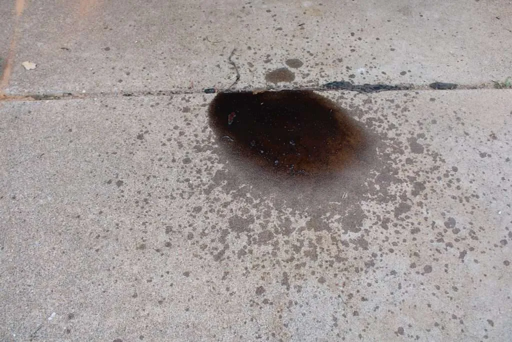 IMG_1618 an oil based stain that has been spilled on concrete.