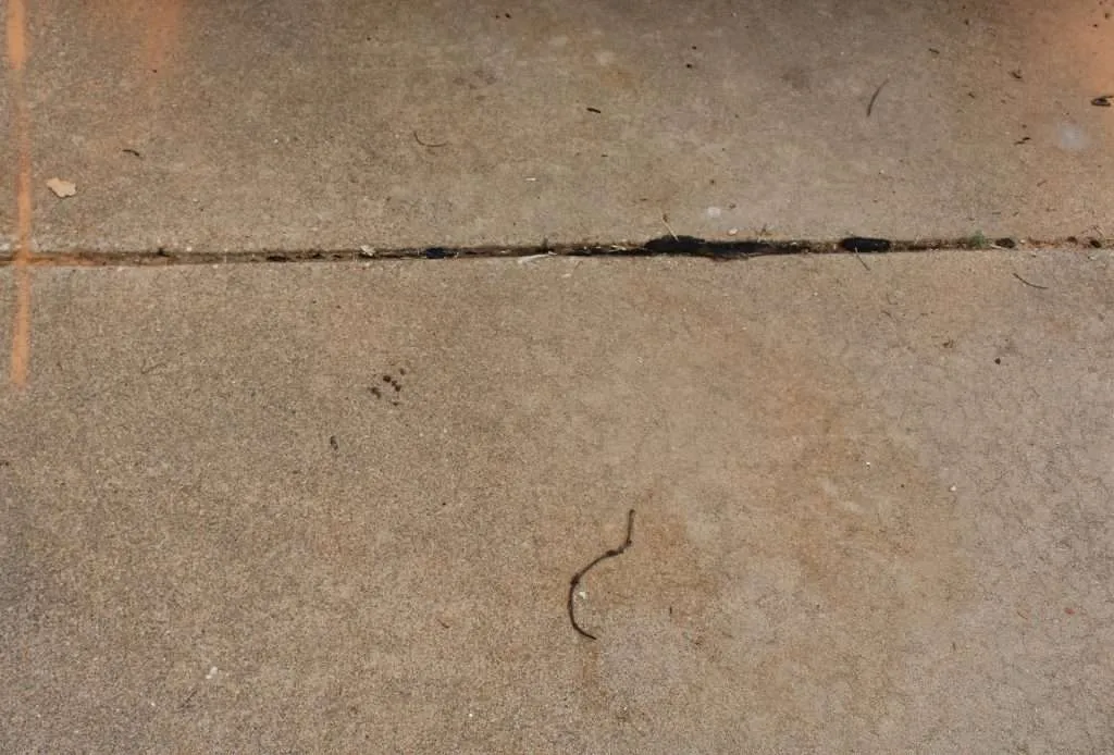 after Fresh looking concrete with no visible stains left over.